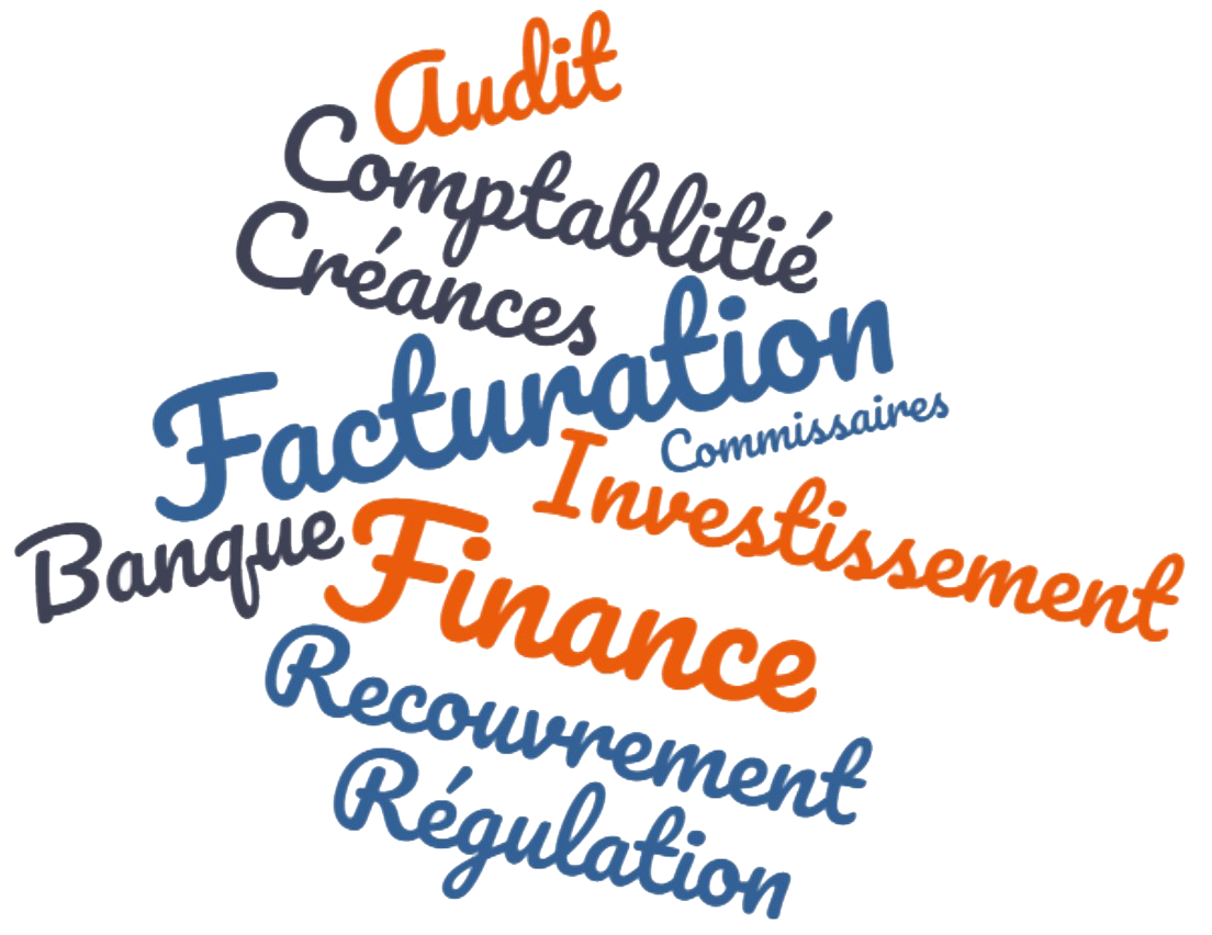 Nuages de mots au couleur de Daqsan : Facturation, Investissment, Finance, Comptabilité, Recouvrement, Créances, Audit, Commissaires, Banque